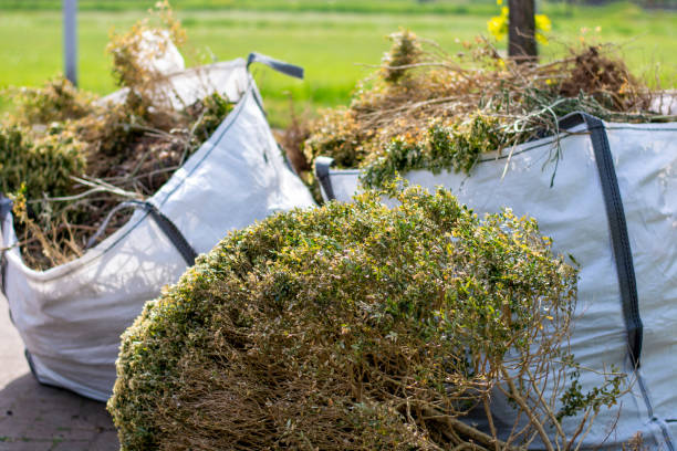 Best Local Junk Hauling  in Au Sable, MI