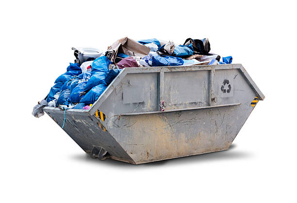 Yard Cleanup Services in Au Sable, MI